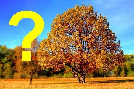 Tendances pour l'automne 2022 : 3ème analyse